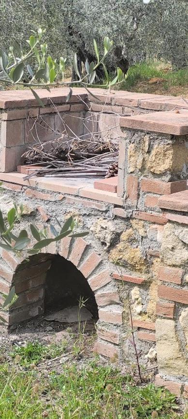 Agriturismo Il Poggio Casale Marittimo Ngoại thất bức ảnh