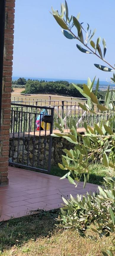 Agriturismo Il Poggio Casale Marittimo Ngoại thất bức ảnh