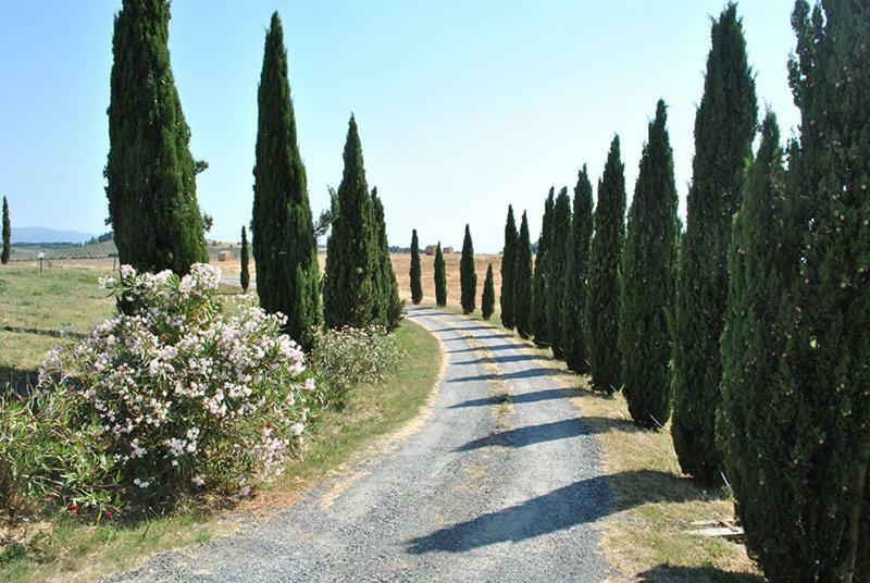 Agriturismo Il Poggio Casale Marittimo Ngoại thất bức ảnh